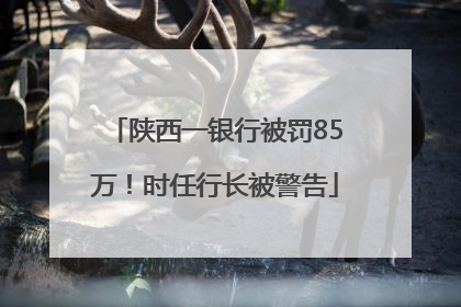 陕西一银行被罚85万！时任行长被警告