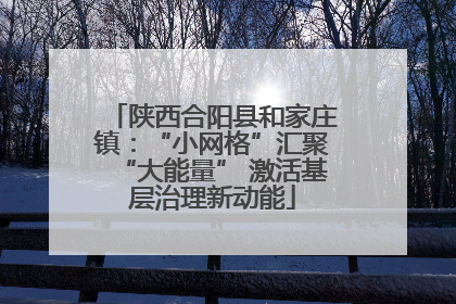 陕西合阳县和家庄镇：“小网格”汇聚“大能量” 激活基层治理新动能