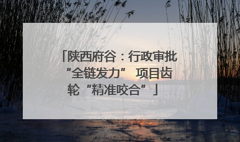 陕西府谷：行政审批“全链发力” 项目齿轮“精准咬合”