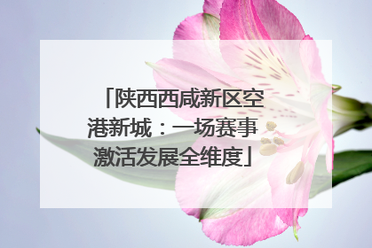 陕西西咸新区空港新城：一场赛事激活发展全维度