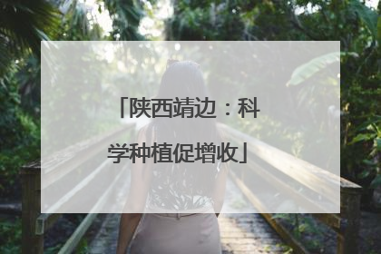 陕西靖边：科学种植促增收