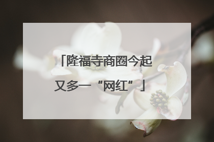 隆福寺商圈今起又多一“网红”