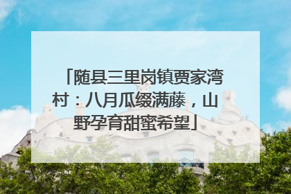 随县三里岗镇贾家湾村：八月瓜缀满藤，山野孕育甜蜜希望