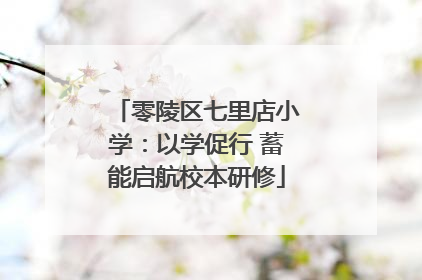零陵区七里店小学：以学促行 蓄能启航校本研修