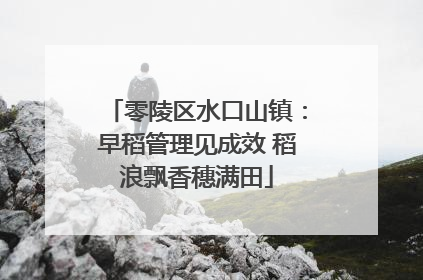 零陵区水口山镇：早稻管理见成效 稻浪飘香穗满田