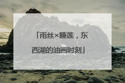 雨丝×睡莲，东西湖的油画时刻