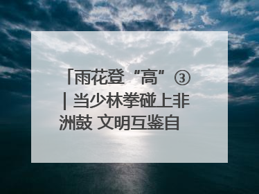 雨花登“高”③｜当少林拳碰上非洲鼓 文明互鉴自有动人韵律