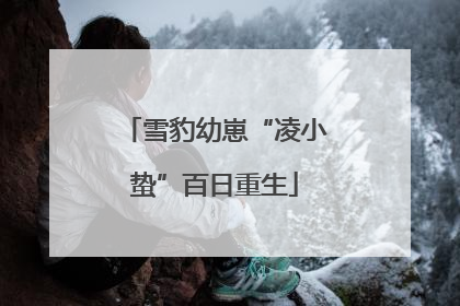雪豹幼崽“凌小蛰”百日重生