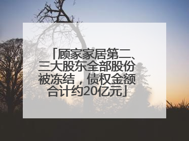 顾家家居第二、三大股东全部股份被冻结，债权金额合计约20亿元