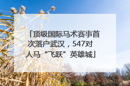 顶级国际马术赛事首次落户武汉，547对人马“飞跃”英雄城