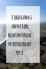 顶压前行 前5月数据折射我国外贸较强韧性