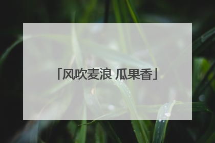 风吹麦浪 瓜果香