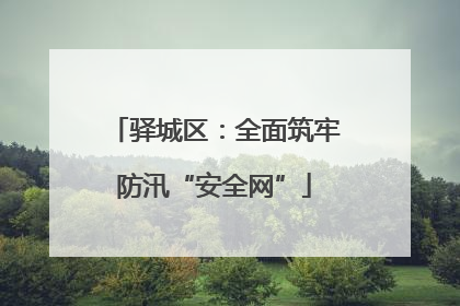 驿城区：全面筑牢防汛“安全网”