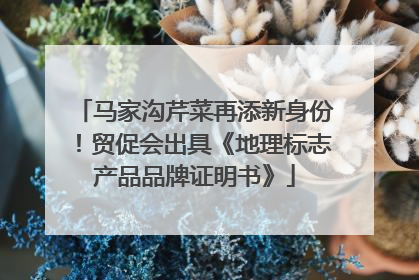 马家沟芹菜再添新身份！贸促会出具《地理标志产品品牌证明书》