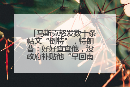马斯克怒发数十条帖文“倒特”，特朗普：好好查查他，没政府补贴他“早回南非老家”了