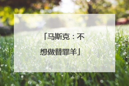 马斯克：不想做替罪羊