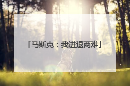 马斯克：我进退两难