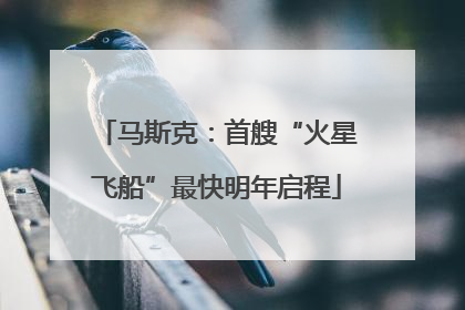 马斯克：首艘“火星飞船”最快明年启程
