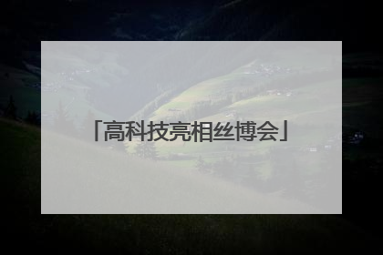 高科技亮相丝博会