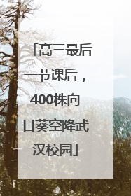 高三最后一节课后，400株向日葵空降武汉校园