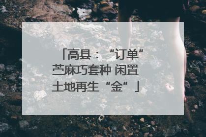 高县：“订单”苎麻巧套种 闲置土地再生“金”