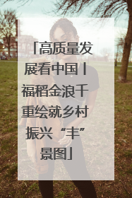 高质量发展看中国丨福稻金浪千重绘就乡村振兴“丰”景图