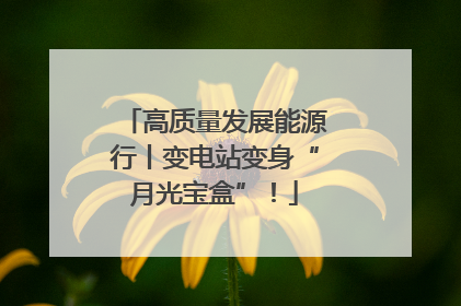 高质量发展能源行丨变电站变身“月光宝盒”！