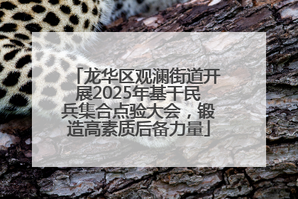 龙华区观澜街道开展2025年基干民兵集合点验大会，锻造高素质后备力量