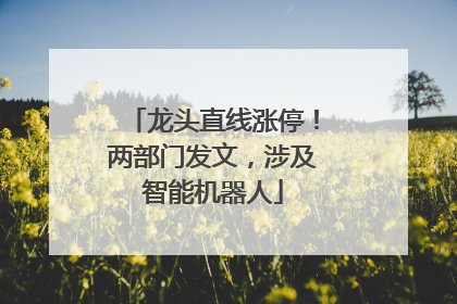 龙头直线涨停！两部门发文，涉及智能机器人