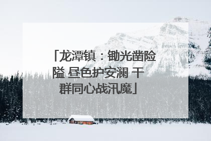 龙潭镇：锄光凿险隘 昼色护安澜 干群同心战汛魔