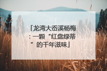 龙湾大岙溪杨梅：一颗“红盘绿蒂”的千年滋味