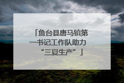 鱼台县唐马镇第一书记工作队助力“三夏生产”