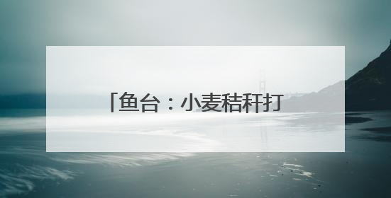 鱼台：小麦秸秆打捆离田综合利用