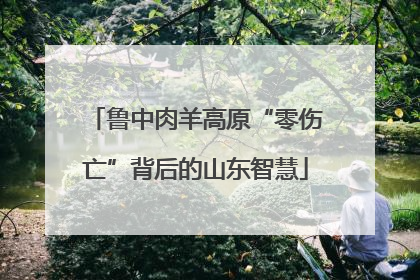 鲁中肉羊高原“零伤亡”背后的山东智慧