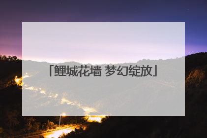 鲤城花墙 梦幻绽放