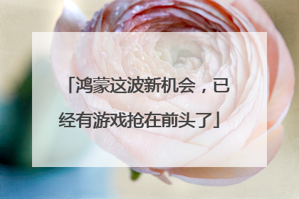 鸿蒙这波新机会，已经有游戏抢在前头了
