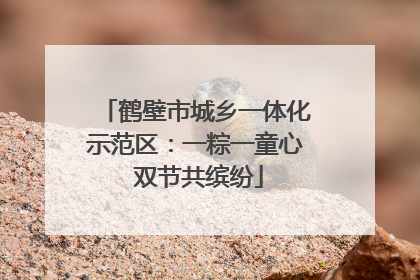 鹤壁市城乡一体化示范区：一粽一童心 双节共缤纷