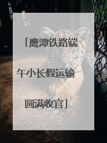 鹰潭铁路端午小长假运输圆满收官