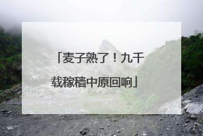 麦子熟了！九千载稼穑中原回响