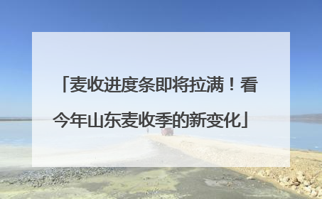 麦收进度条即将拉满！看今年山东麦收季的新变化