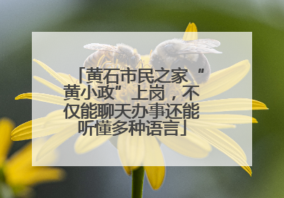 黄石市民之家“黄小政”上岗，不仅能聊天办事还能听懂多种语言