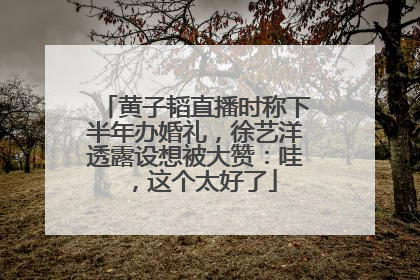 黄子韬直播时称下半年办婚礼，徐艺洋透露设想被大赞：哇，这个太好了