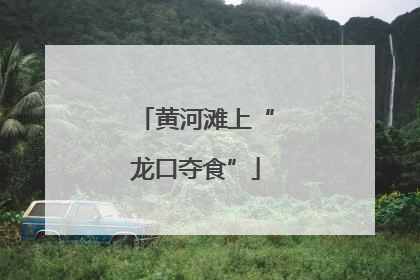 黄河滩上“龙口夺食”