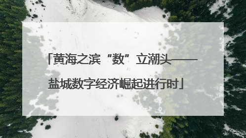 黄海之滨“数”立潮头——盐城数字经济崛起进行时