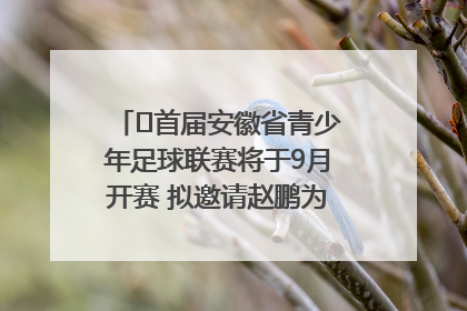 ﻿首届安徽省青少年足球联赛将于9月开赛 拟邀请赵鹏为先导赛开球