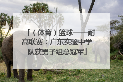 （体育）篮球——耐高联赛：广东实验中学队获男子组总冠军