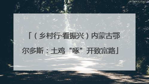 （乡村行·看振兴）内蒙古鄂尔多斯：土鸡“啄”开致富路