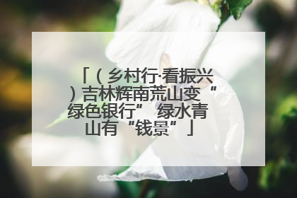 （乡村行·看振兴）吉林辉南荒山变“绿色银行” 绿水青山有“钱景”