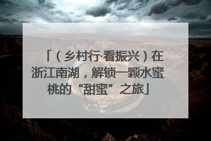 （乡村行·看振兴）在浙江南湖，解锁一颗水蜜桃的“甜蜜”之旅