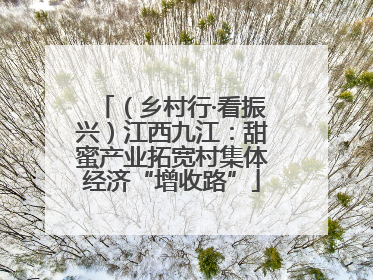 （乡村行·看振兴）江西九江：甜蜜产业拓宽村集体经济“增收路”